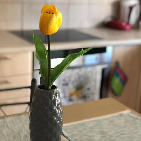 *new* Central In